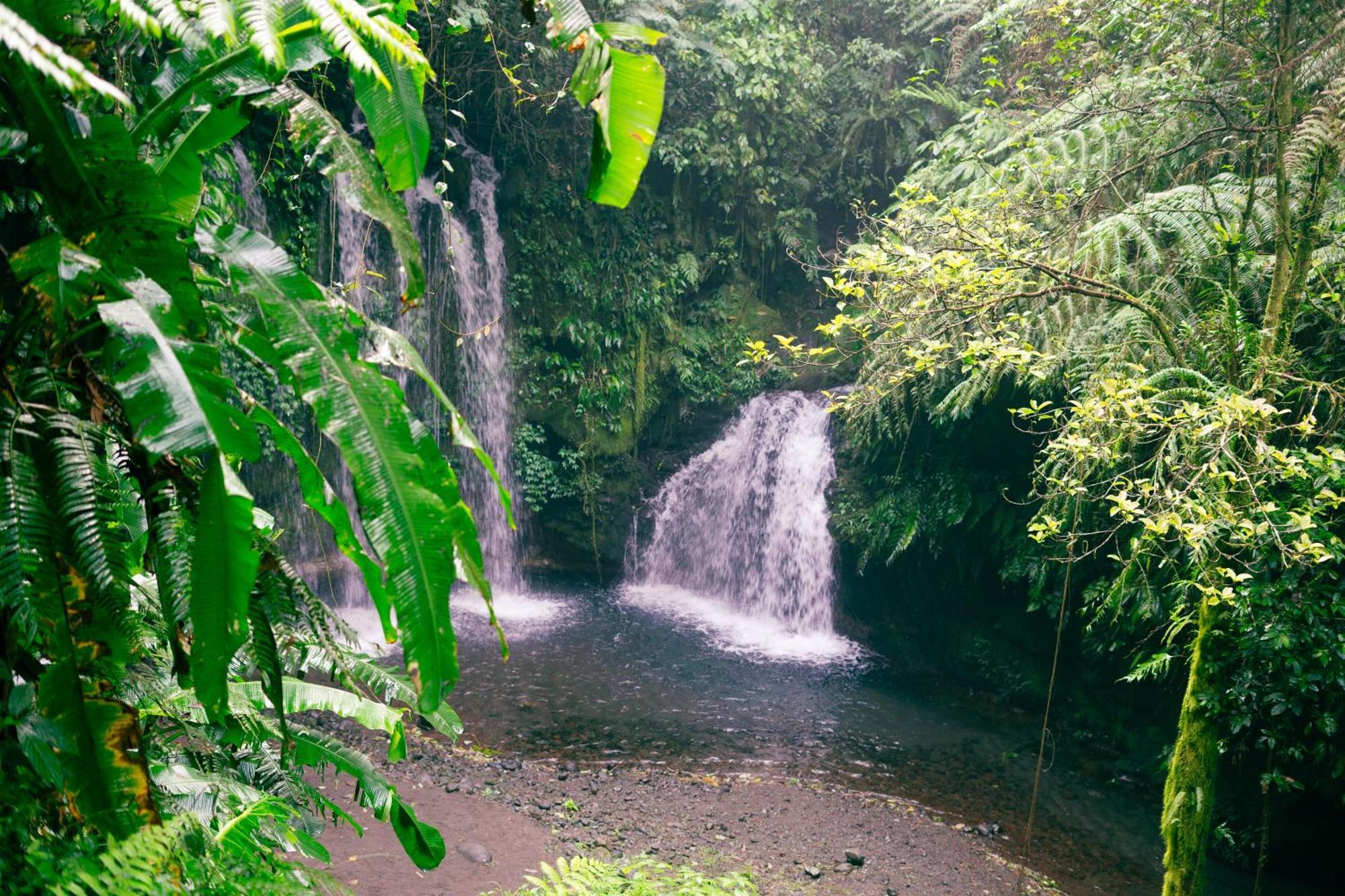 Santya Loka Lodge & Twin Waterfall ジャティルウィ エクステリア 写真
