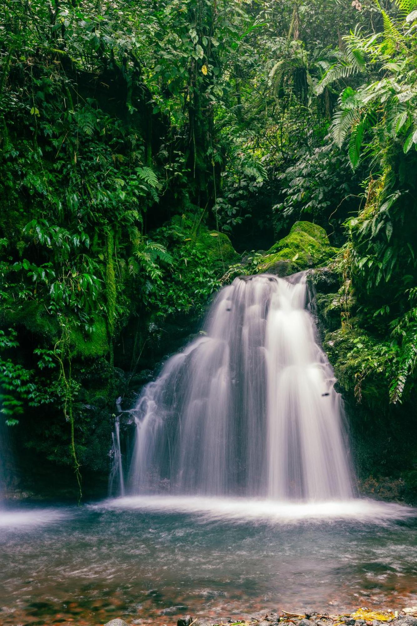 Santya Loka Lodge & Twin Waterfall ジャティルウィ エクステリア 写真