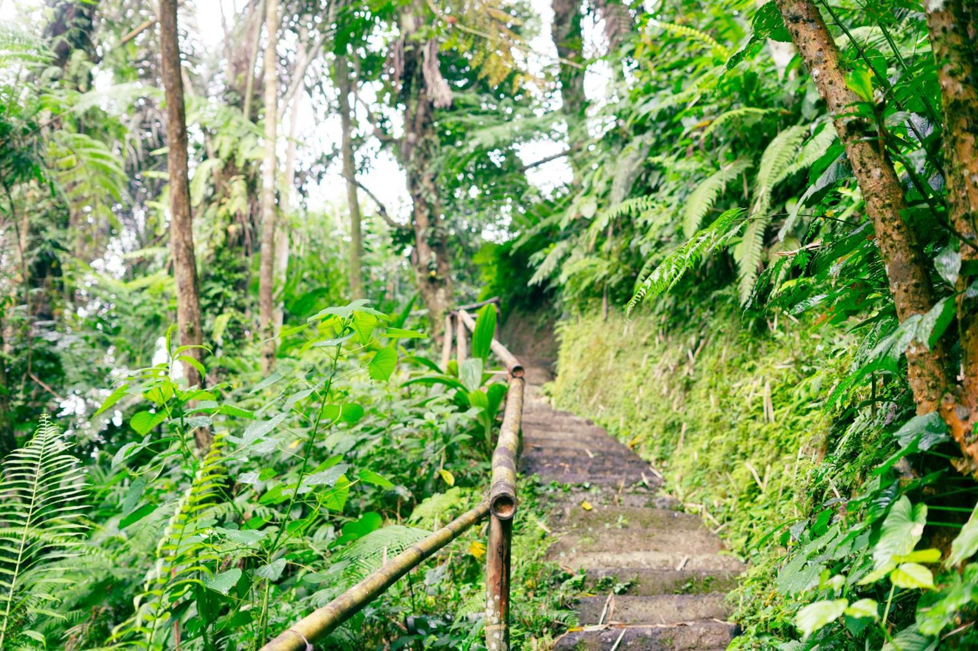Santya Loka Lodge & Twin Waterfall ジャティルウィ エクステリア 写真