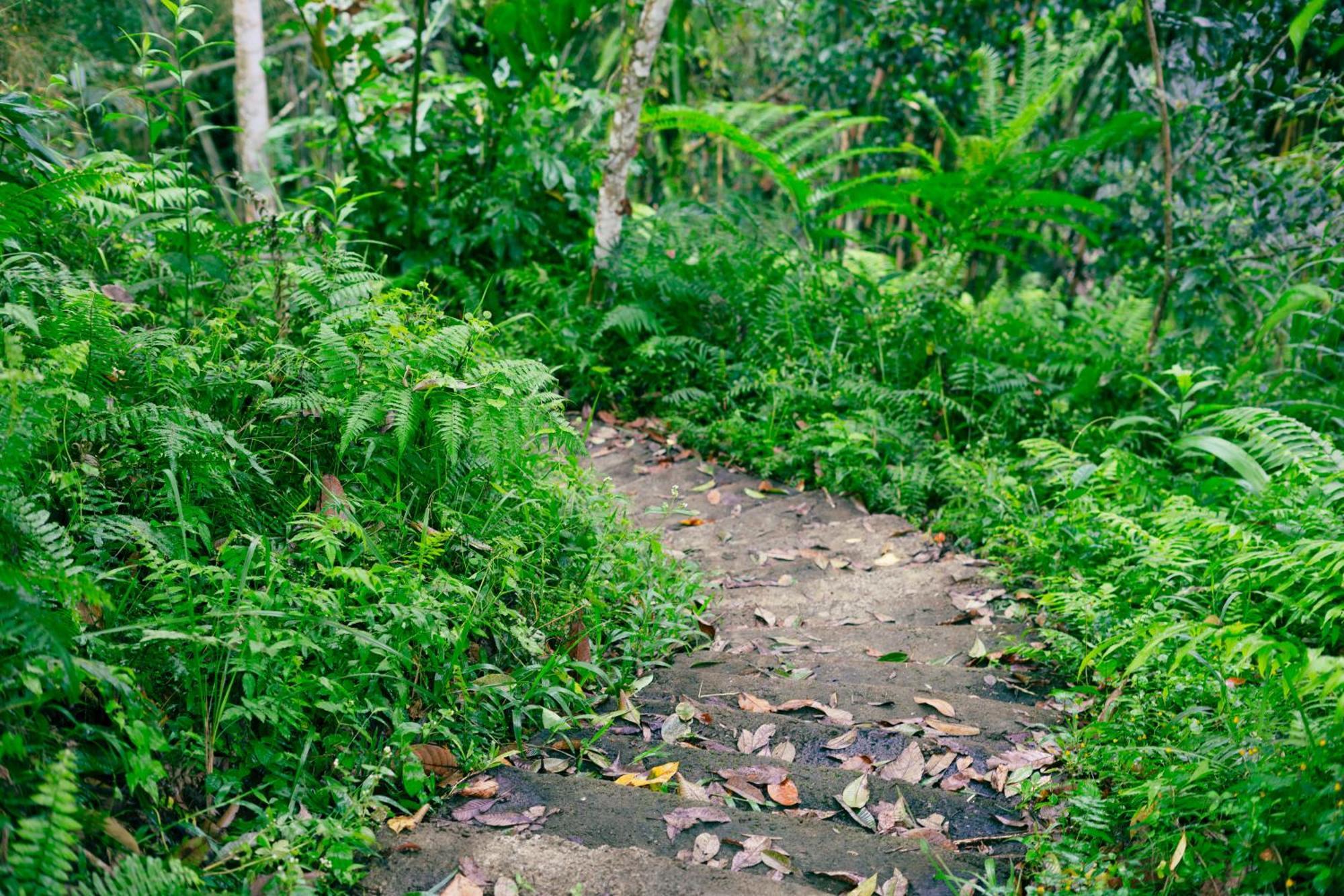 Santya Loka Lodge & Twin Waterfall ジャティルウィ エクステリア 写真