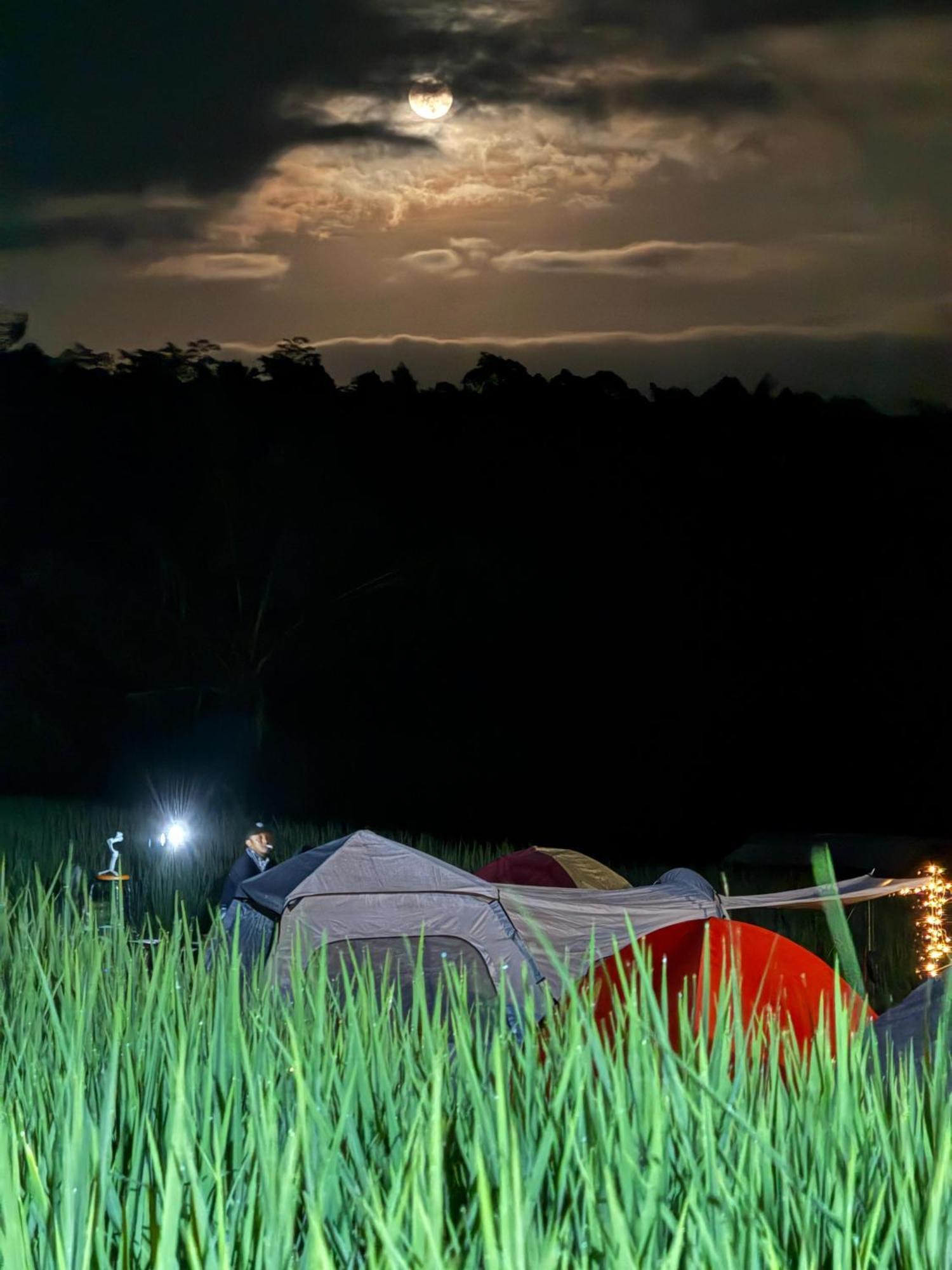 Santya Loka Lodge & Twin Waterfall ジャティルウィ エクステリア 写真