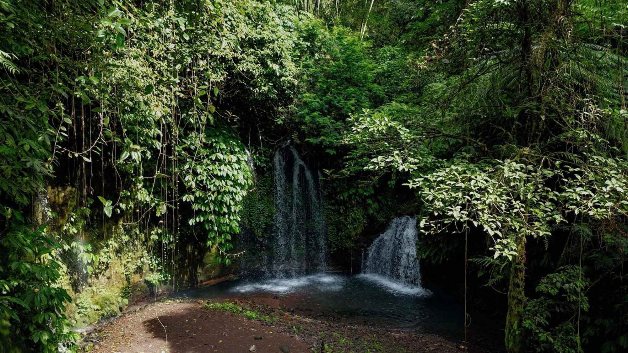 Santya Loka Lodge & Twin Waterfall ジャティルウィ エクステリア 写真
