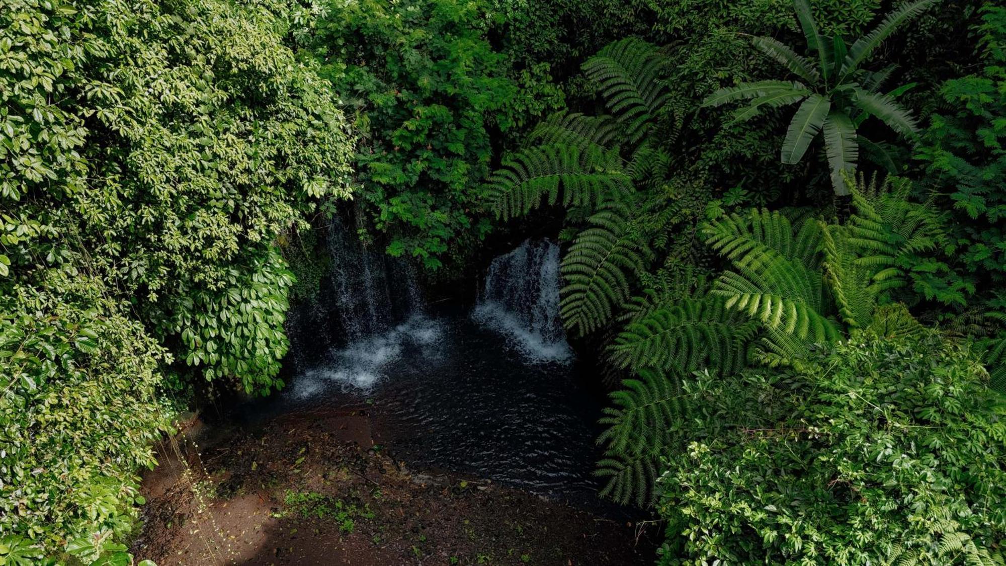 Santya Loka Lodge & Twin Waterfall ジャティルウィ エクステリア 写真