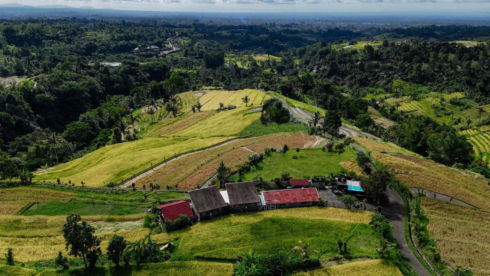 Santya Loka Lodge & Twin Waterfall ジャティルウィ エクステリア 写真