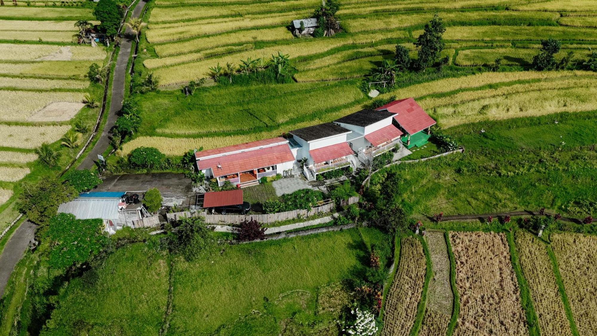 Santya Loka Lodge & Twin Waterfall ジャティルウィ エクステリア 写真