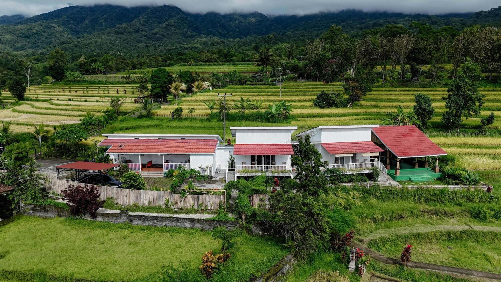 Santya Loka Lodge & Twin Waterfall ジャティルウィ エクステリア 写真