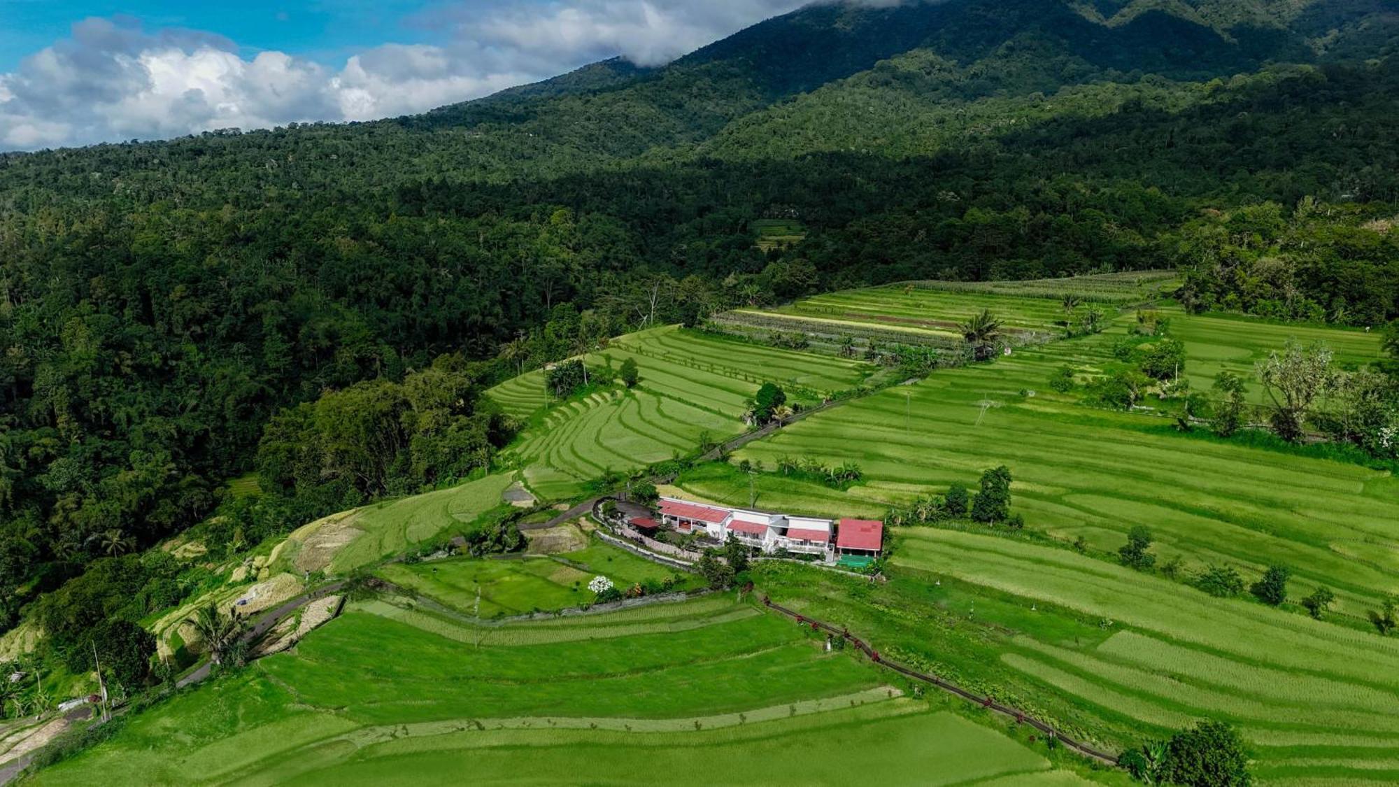 Santya Loka Lodge & Twin Waterfall ジャティルウィ エクステリア 写真